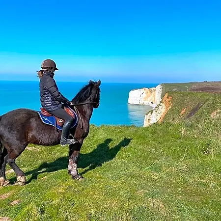 Domaine Equestre Etretat Bed & Breakfast Le Tilleul