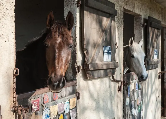 Domaine Equestre Etretat Bed & Breakfast 3*