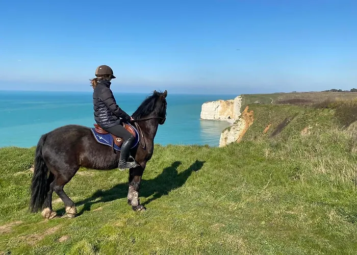 Domaine Equestre Etretat 3*